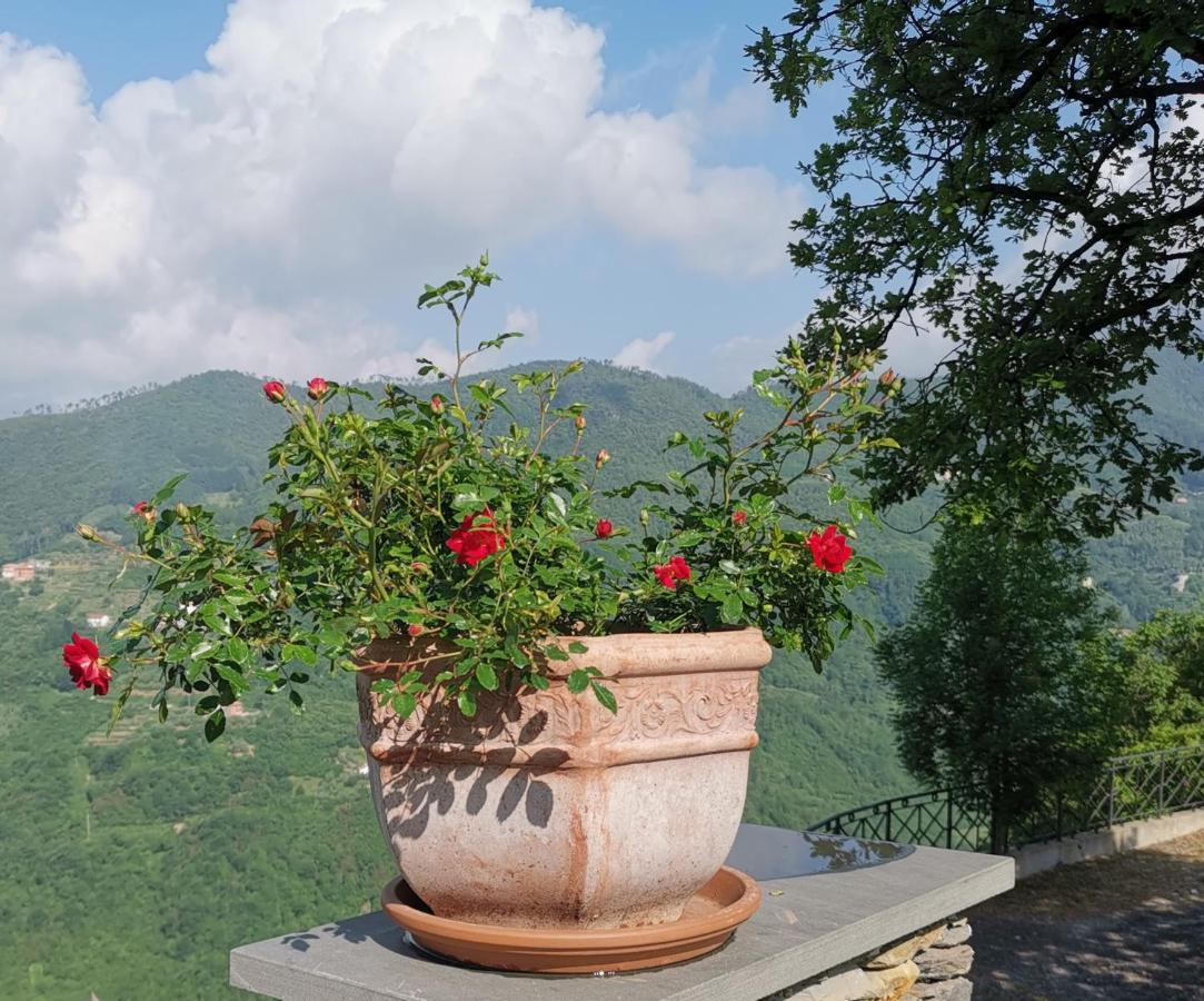 Elsa House Bed and Breakfast Mezzanego Εξωτερικό φωτογραφία
