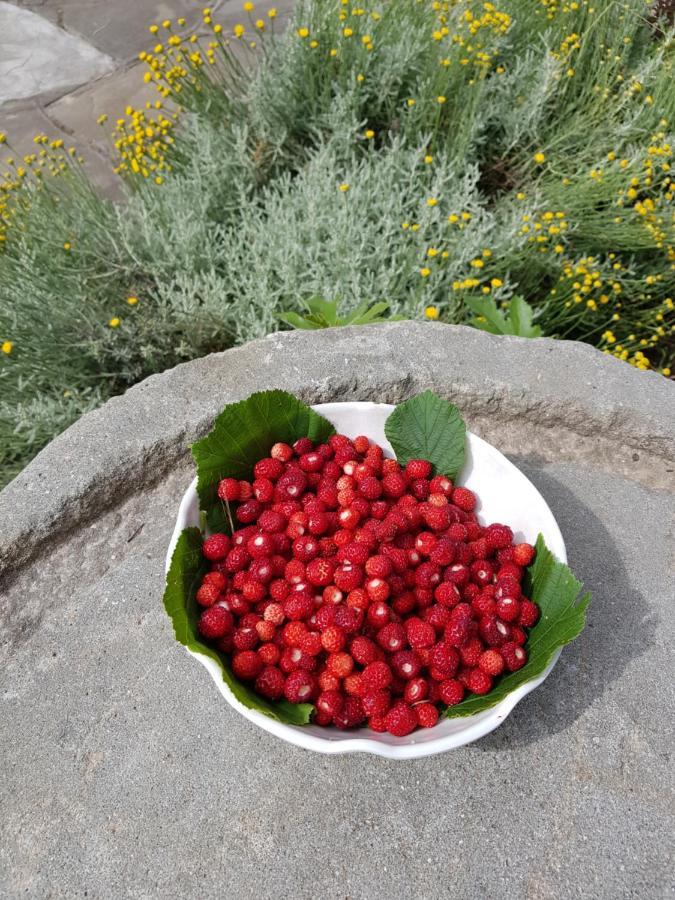 Elsa House Bed and Breakfast Mezzanego Εξωτερικό φωτογραφία