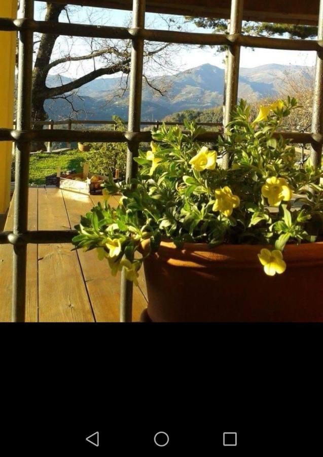 Elsa House Bed and Breakfast Mezzanego Εξωτερικό φωτογραφία