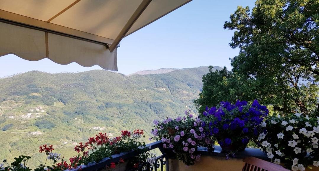 Elsa House Bed and Breakfast Mezzanego Εξωτερικό φωτογραφία