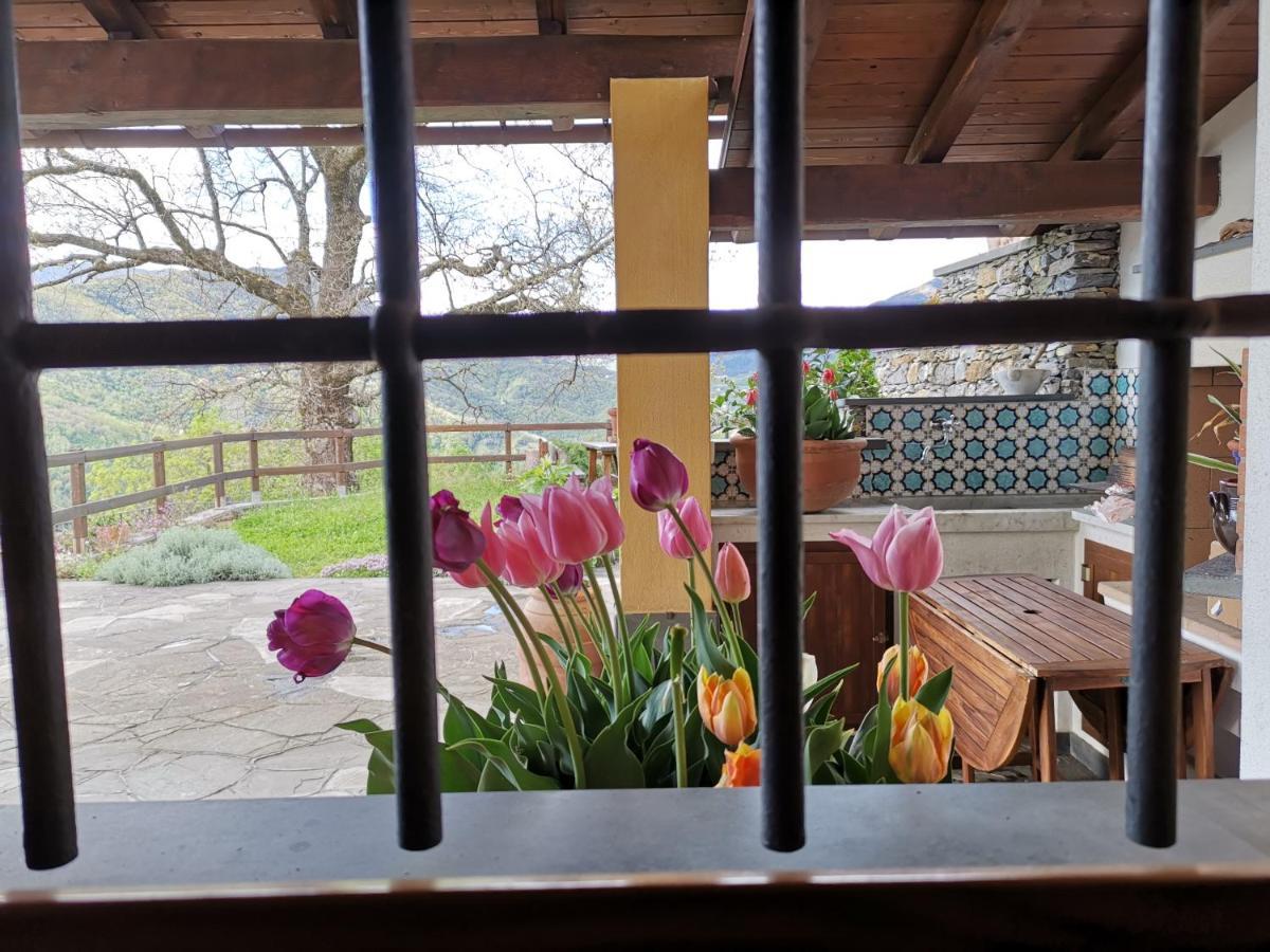 Elsa House Bed and Breakfast Mezzanego Εξωτερικό φωτογραφία