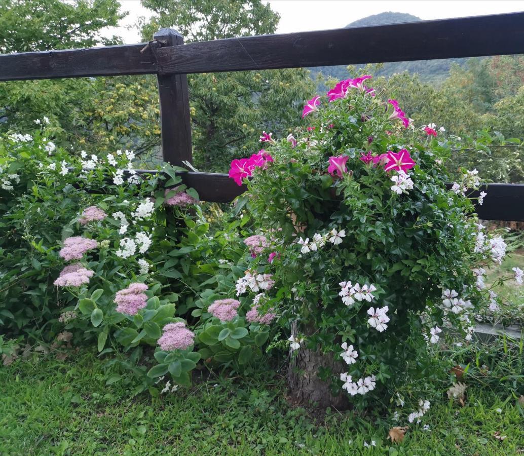Elsa House Bed and Breakfast Mezzanego Εξωτερικό φωτογραφία
