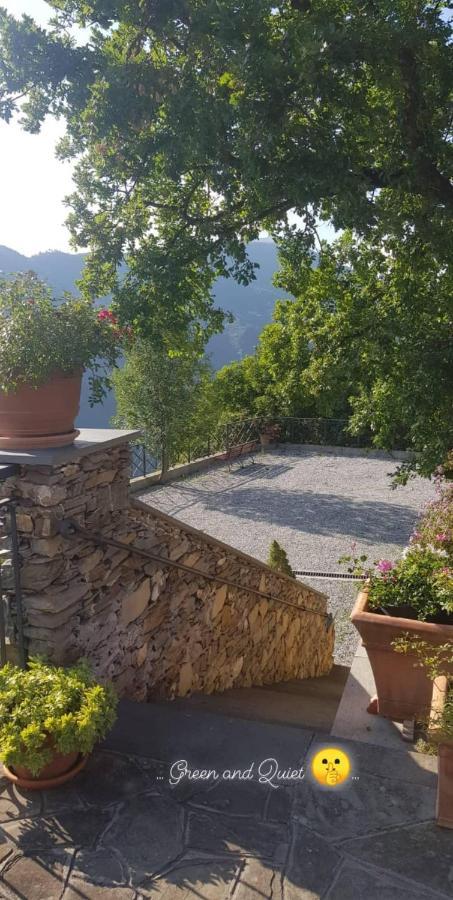 Elsa House Bed and Breakfast Mezzanego Εξωτερικό φωτογραφία